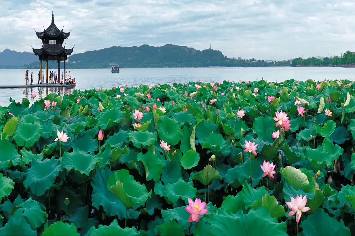 Hangzhou Travel Tips
