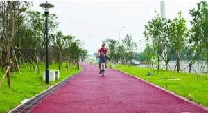 Changsha's orange tree-shaded bicycle path