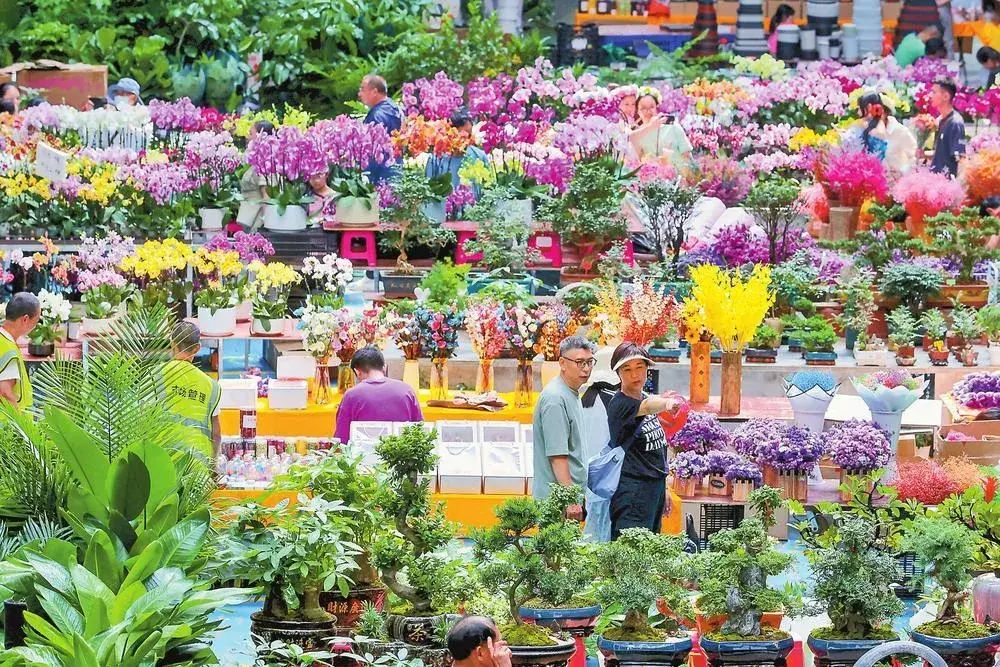 Dounan Flower Market, Asia's Flower Capital