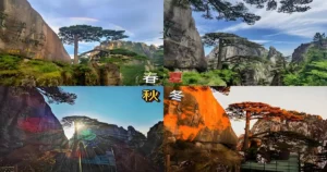 Huangshan Four Seasons Scenery