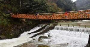 Huangshan ancient villages, waterfalls and other nearby attractions_11zon
