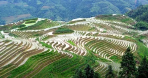 Longji Rice Terraces