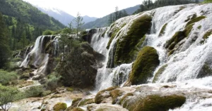 Lush summer views at Jiuzhaigou Valley’s Pearl Shoal
