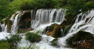 Nuorilang Waterfall in Jiuzhaigou Valley