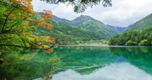 Spring flowers at Jiuzhaigou Valley’s Mirror Lake