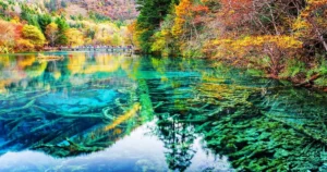 Vibrant hues of Five Flower Lake in Jiuzhaigou Valley